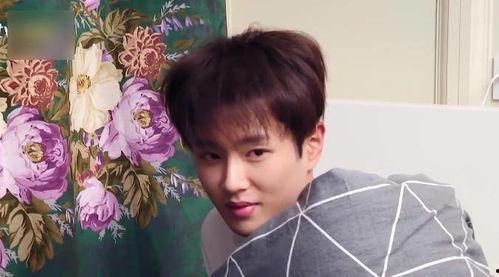 娱乐圈吃瓜李宏毅是谁,揭秘他的明星之路