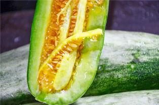 有没有网红吃瓜群,揭秘娱乐圈幕后风云 第3张 有没有网红吃瓜群,揭秘娱乐圈幕后风云 第3张